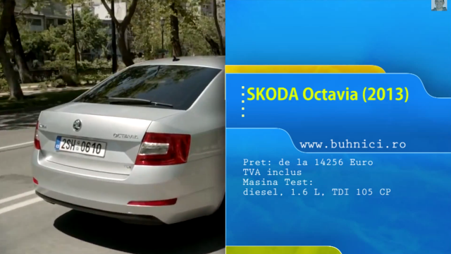 Skoda Octavia 2013 (www.buhnici.ro)